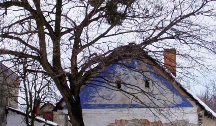 Zobraziť fotografiu
