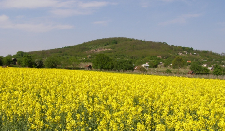 Zobraziť fotografiu