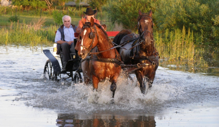 Zobraziť fotografiu