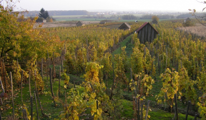 Zobraziť fotografiu