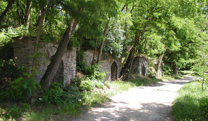 Fotka - Krásy našej obce