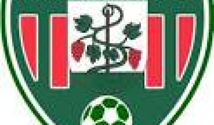 Fotka - Kisgéresi Sportszervezet - Labdarúgás