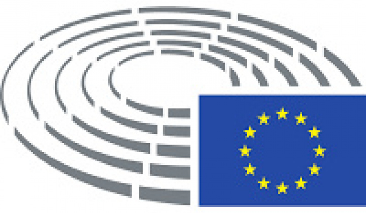 Fotka - Voľby do Európskeho parlamentu 2024